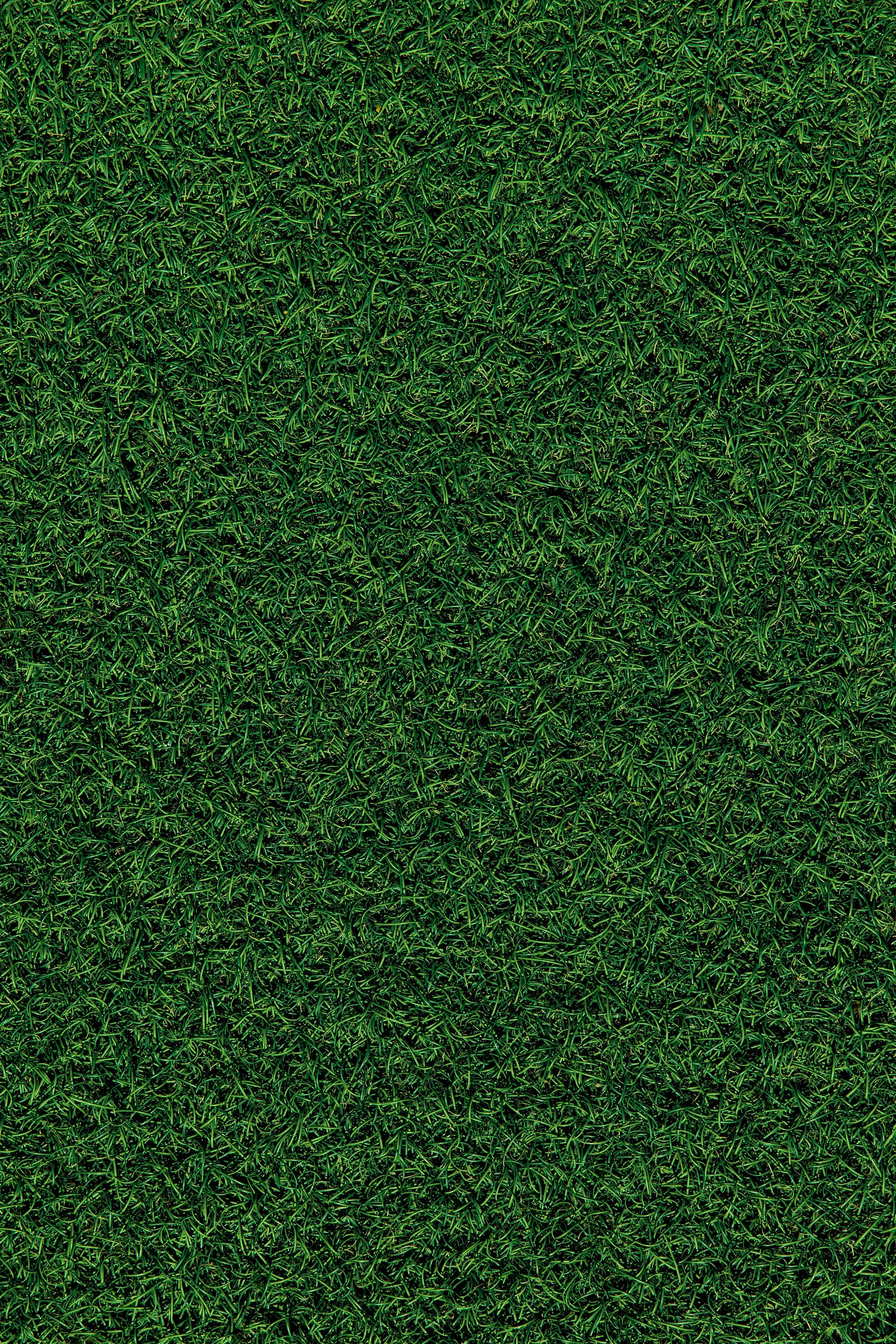 green grass field during daytime